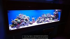 Morské akvárium 900 L, rozmery 220x63x65cm